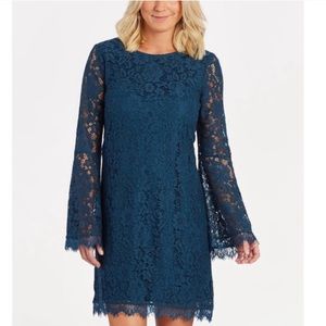 Evereve Braeve lace dress